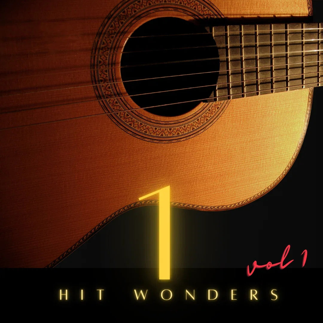 Cover art for the backing track One Hit Wonders Vol 1