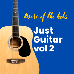 Just Guitar Vol 2